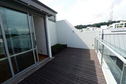 Radiance @ Bukit Timah (D21), Terrace #522915561